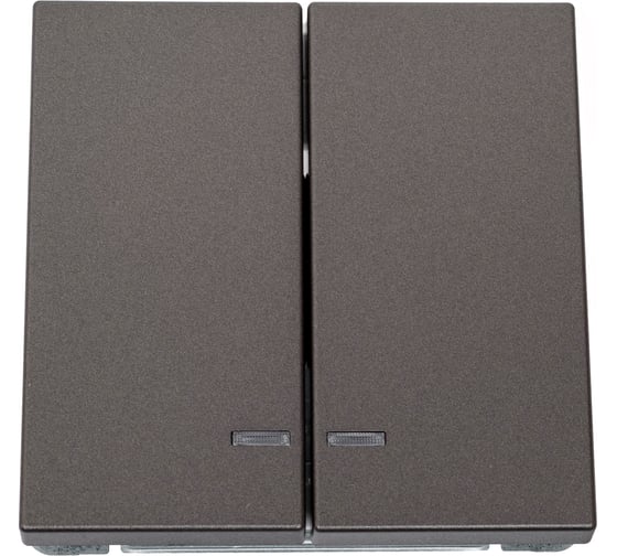 Изображение товара Механизм 2-клавишного выключателя Systeme Electric ArtGallery Мокко с подсветкой, сх.5а, 10АХ GAL000653