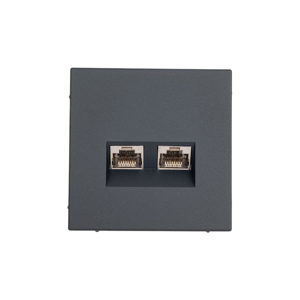 Изображение товара Двойная компьютерная розетка RJ45 ArtGallery BASALT встраиваемая