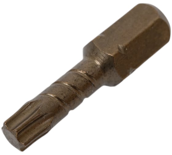 Изображение товара Биты торсионные антислип TORX (10 шт; Т25; 25 мм) SKRAB 43831