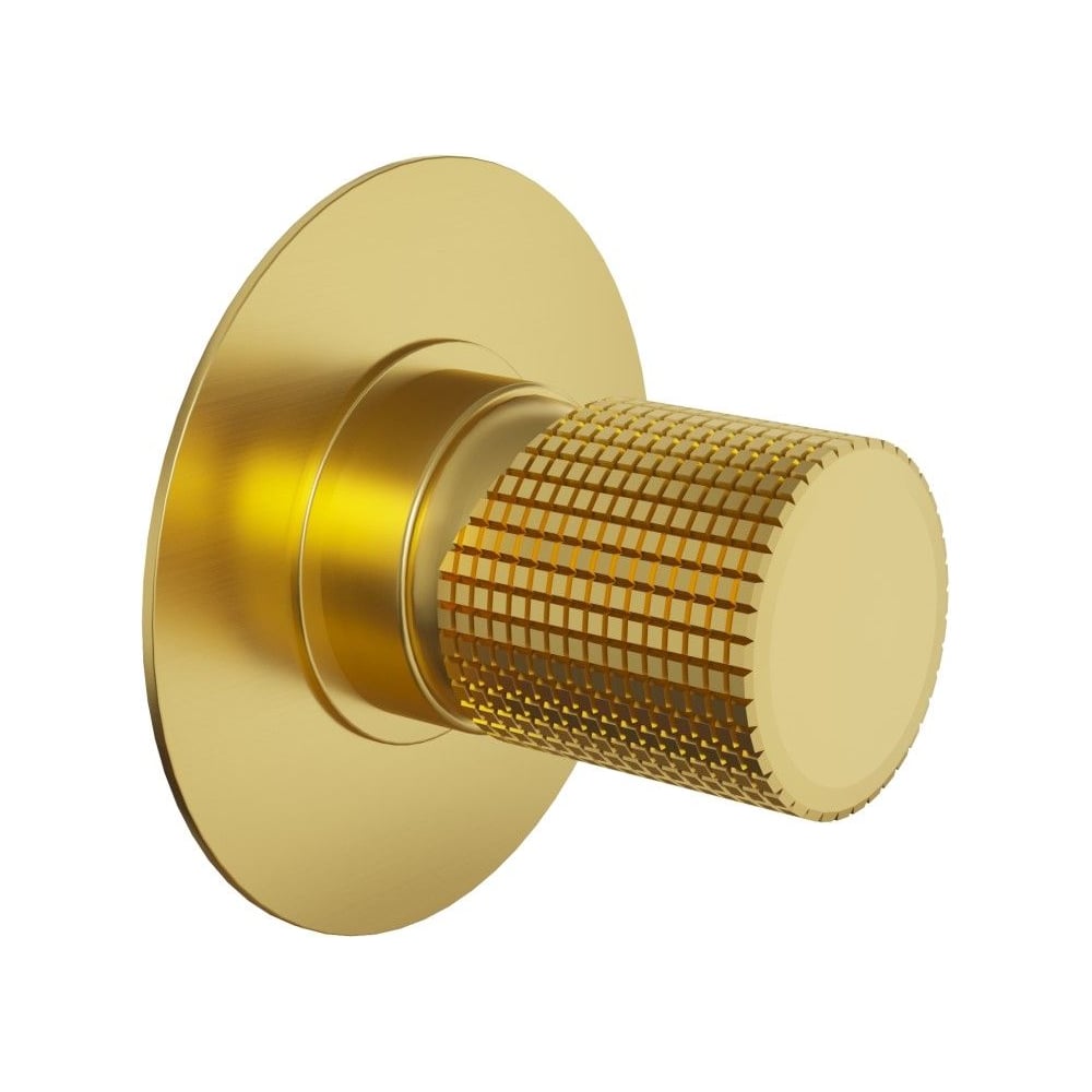 Изображение товара Встраиваемый смеситель для душа Paini Cox Grip матовое золото