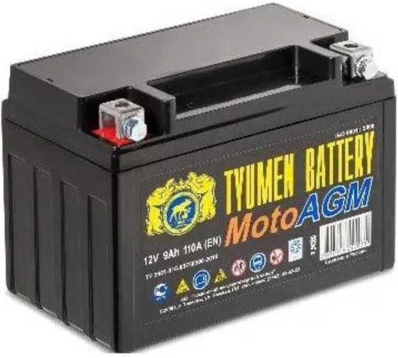 Изображение товара АКБ TYUMEN BATTERY мото 6МТС-9 AGM болт TNM9-AGM(б.)