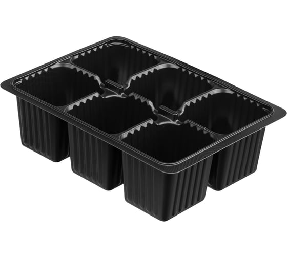 Изображение товара Кассета для рассады Без бренда 180 х 135 х 60 мм 6 ячеек полистирол 5 шт. 64346