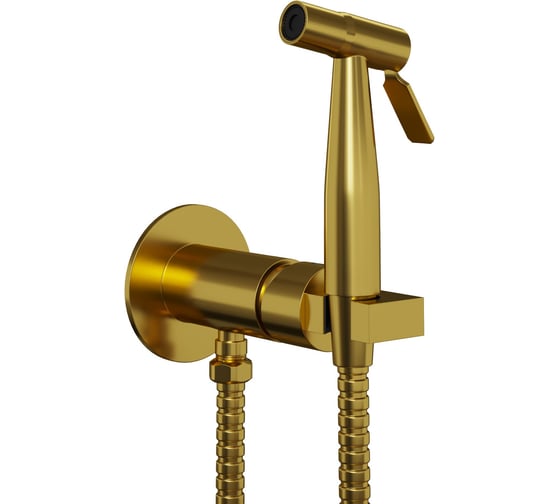 Изображение товара Гигиенический встраиваемый душ Paini Castello Round с латунной лейкой, брашированное золото 61253