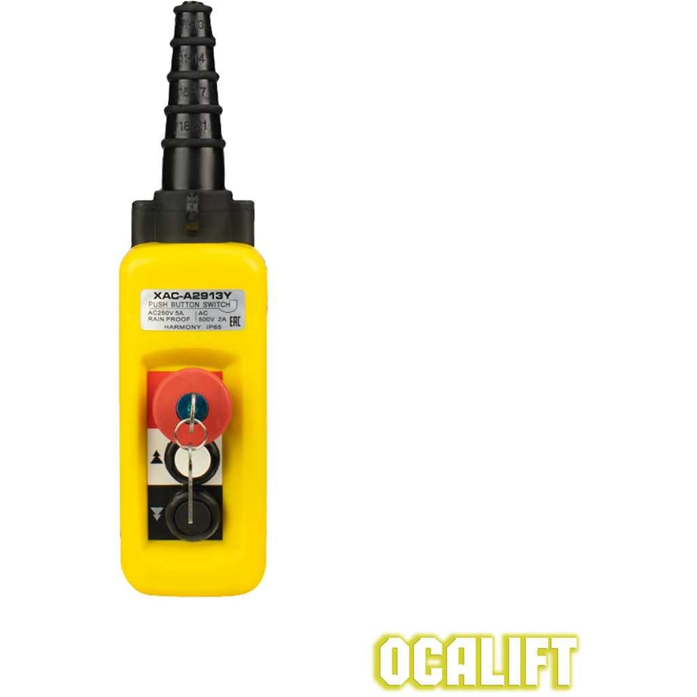 Пульт управления OCALIFT 2 кнопки, 2 скорости, стоп, ключ, IP55 A2913Y COPP-A2913Y