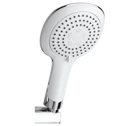 Изображение товара Душевая лейка Paini Novara круглая, 3 режима, хром 17703