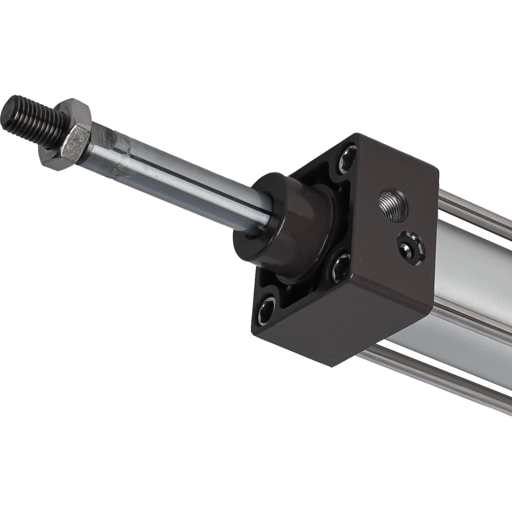 Изображение товара Пневмоцилиндр NBPT SC 100x250-S 81104