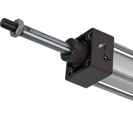 Изображение товара Пневмоцилиндр NBPT SC 100x50-S 81128