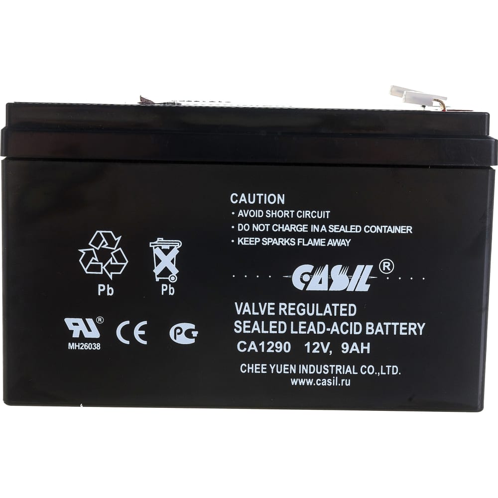 Аккумуляторная батарея CASIL
