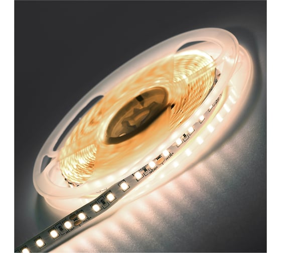 Изображение товара LED лента Smartbuy 24V 2835/120 -IP20-14,4W/6500K 5 м. SBL-IP20-24V-14-4-6500K