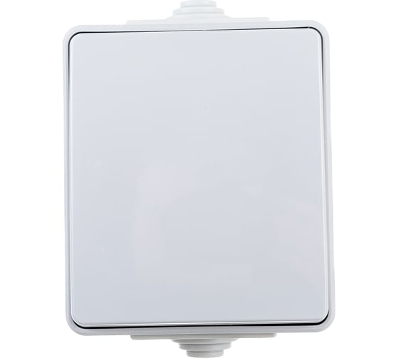 Изображение товара Переключатель ЭРА Эксперт, 11160303, IP65, 10АХ250В, ОУ, серый, 10 Б0035975