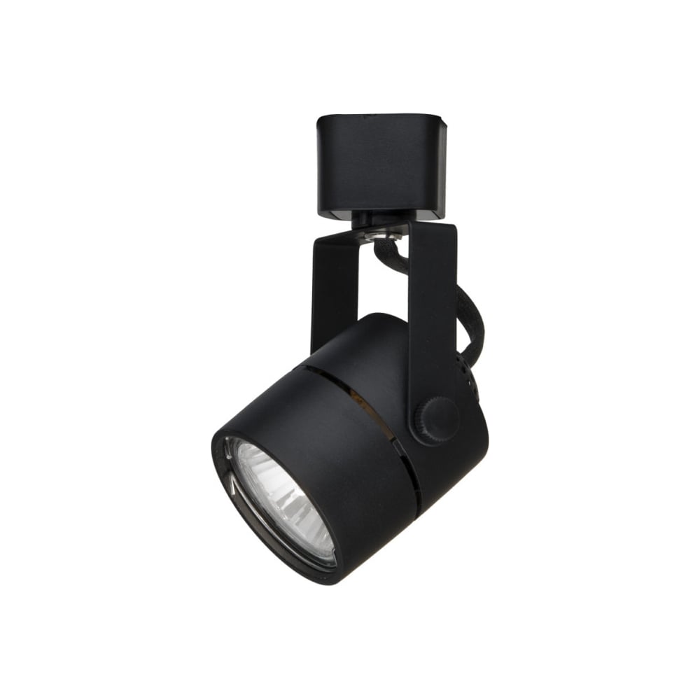 фото Потолочный светильник arte lamp a1310pl-1bk