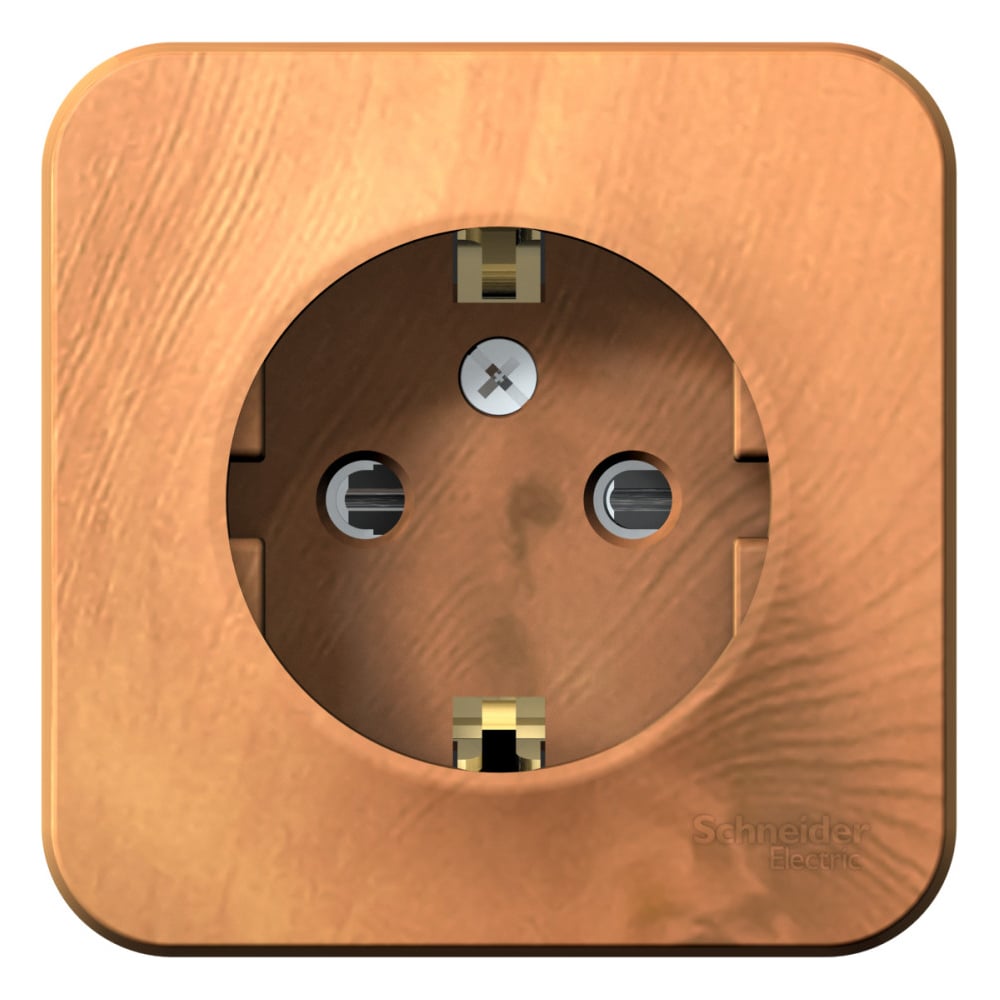 Изображение товара Розетка Systeme Electric BLANCA с заземлением и защитными шторками ясень