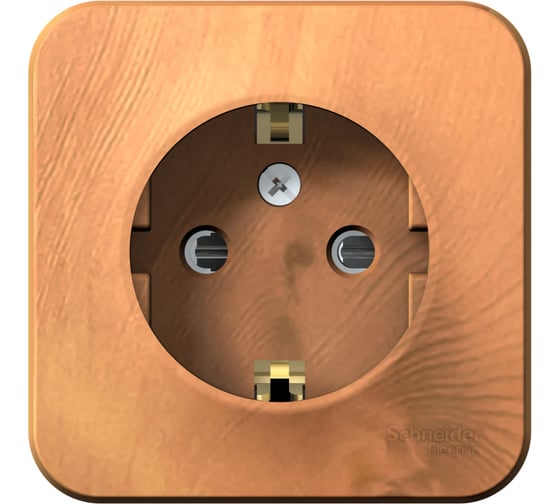 Изображение товара Розетка Systeme Electric BLANCA с заземлением, со шторками, ясень BLNRA011105