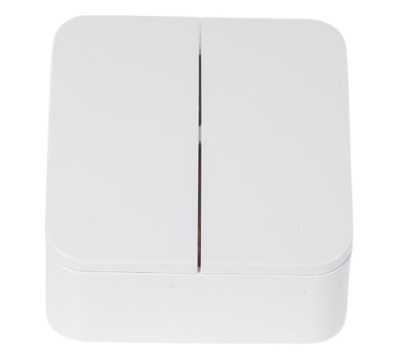 Изображение товара 2-клавишный выключатель Systeme Electric BLANCA, О/У, 10А, 250B, белый BLNVA105001