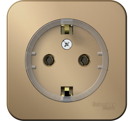 Изображение товара Розетка Systeme Electric BLANCA, О/У, с заземлением, без шторок, компакт, титан BLNRA110114