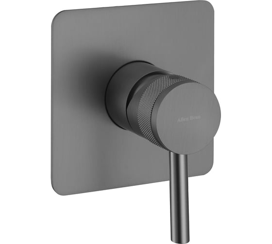 Изображение товара Встраиваемый смеситель для душа ALLEN BRAU PRIORITY X1 1 выход, Kerox, Easy box, графит брашированный 5.31012-MG 00323747
