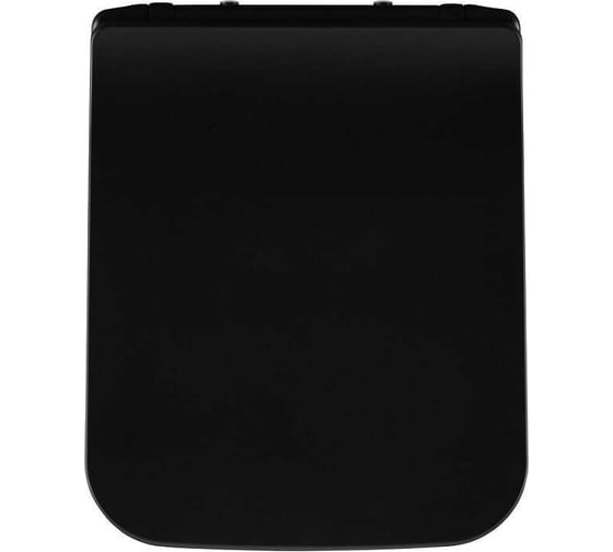 Изображение товара Сиденье для унитаза ALLEN BRAU LIBERTY 2 Soft-Close, дюропласт, антрацит 4.33008.AN 00312475