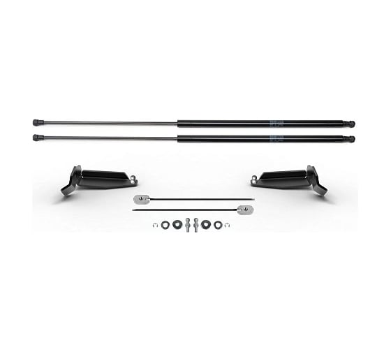 Изображение товара Газовые упоры капота Geely Atlas II 2023-н.в., только рынок РФ, 2 шт Rival A.ST.1910.1