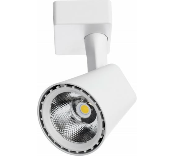 Изображение товара Потолочный светильник Arte Lamp A1810PL-1WH