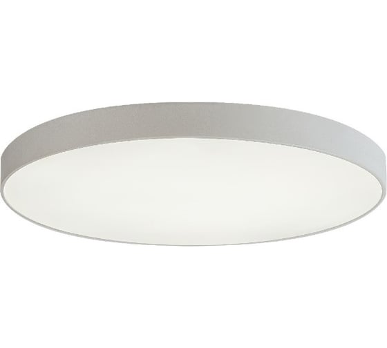 Изображение товара Потолочный светодиодный светильник ЭкономСвет 51295/1M WT WT