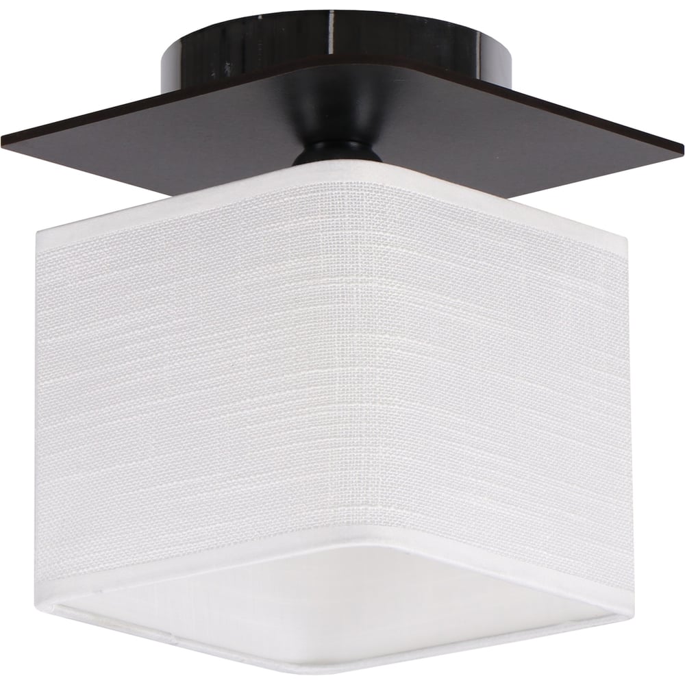 Изображение товара Потолочный светильник ЭкономСвет 24088/1BK WT стильный современный дизайн