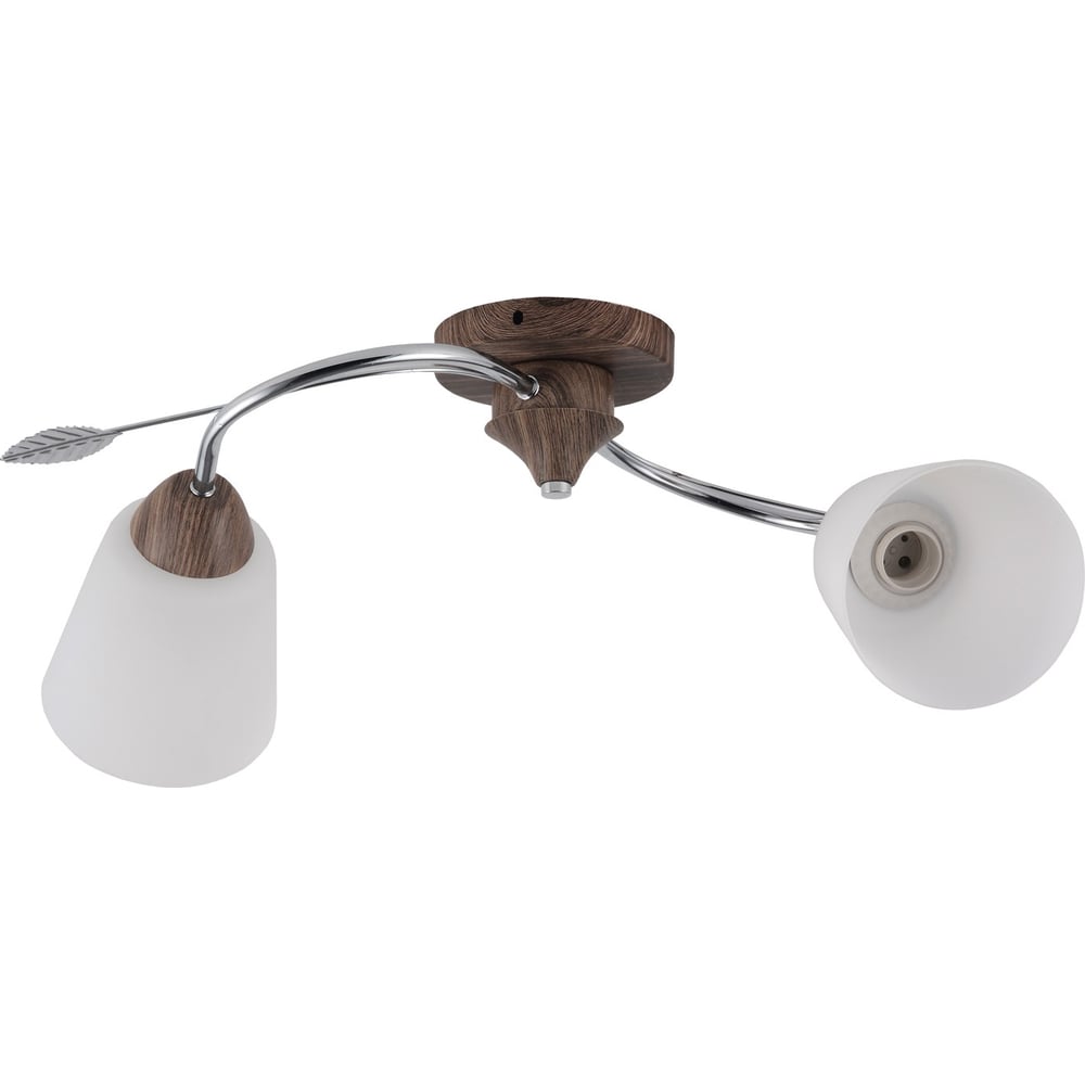 Изображение товара Потолочный светильник ЭкономСвет 66002/2WD+CR WT современное освещение дому