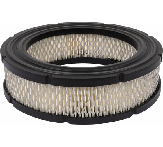 Изображение товара Фильтр воздушный 1 шт для двигателя бензотехники BRIGGS STRATTON OZONE FE-61