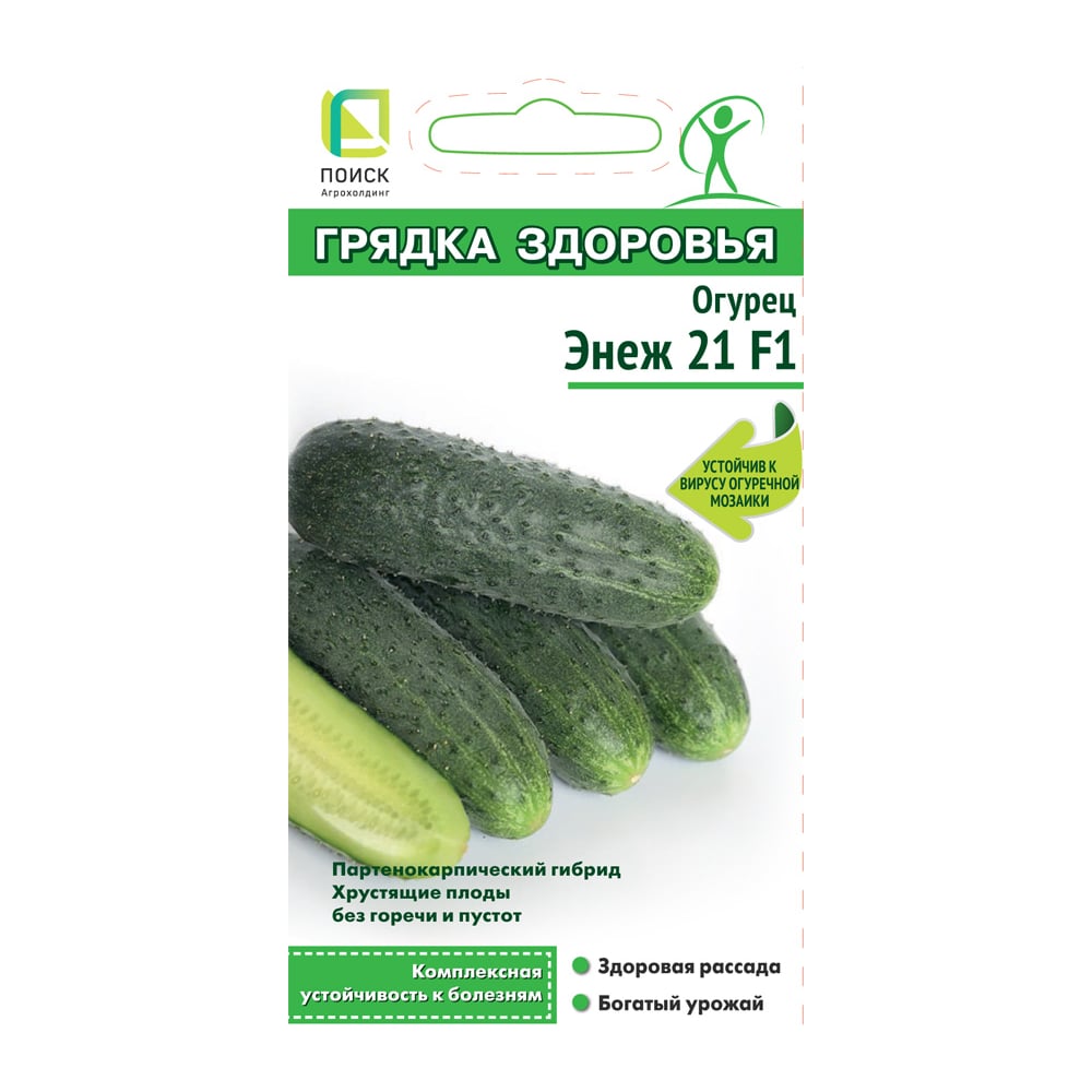 Огурец Агрохолдинг ПОИСК Энеж 21 F1 (А) 12шт 812968