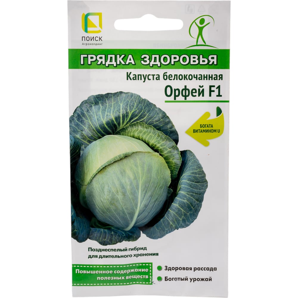  Капуста белокочанная Агрохолдинг ПОИСК Орфей F1 (А) 812951