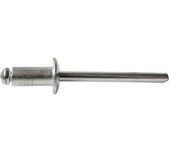 Изображение товара Заклепки (50 шт; 3.2х9.5 мм) SKRAB 35052