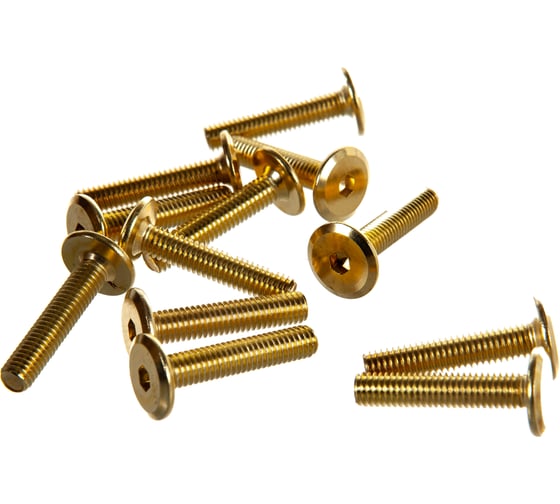 Изображение товара Мебельный винт с плоской головкой ЕВРОПАРТНЕР латунир. М6х30 20шт. 6 2111 4