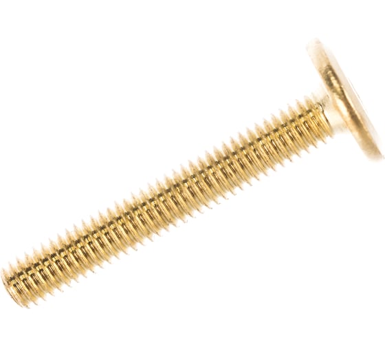 Изображение товара Мебельный винт с плоской головкой ЕВРОПАРТНЕР латунир. М6х40 20шт. 6 2112 4