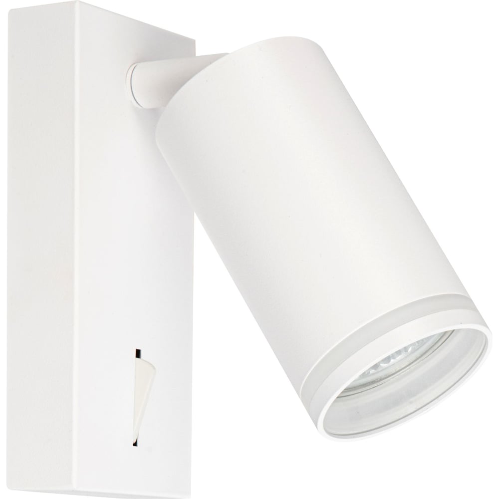 Настенный светильник спот BRIZZI BR08079