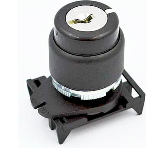 Изображение товара Переключатель Giovenzana с ключом, возвратный, 2 положения, 45 градусов (извлечение O) PSCR8D2C