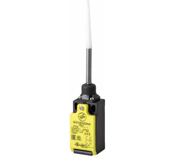 Изображение товара Концевой рычажный выключатель Giovenzana с пружинной штангой и наконечником, 1НЗ/1НР мгновенного действия FTN135Z11
