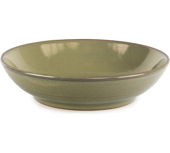 Изображение товара Суповая тарелка DOMENIK HELEZONE GREEN 22 см DMD083