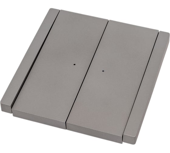 Изображение товара Выключатель 2-клавишный проходной IEK FORTEPIANO с индикацией 10А FP508 сталь FP-V22-1-10-1-K46