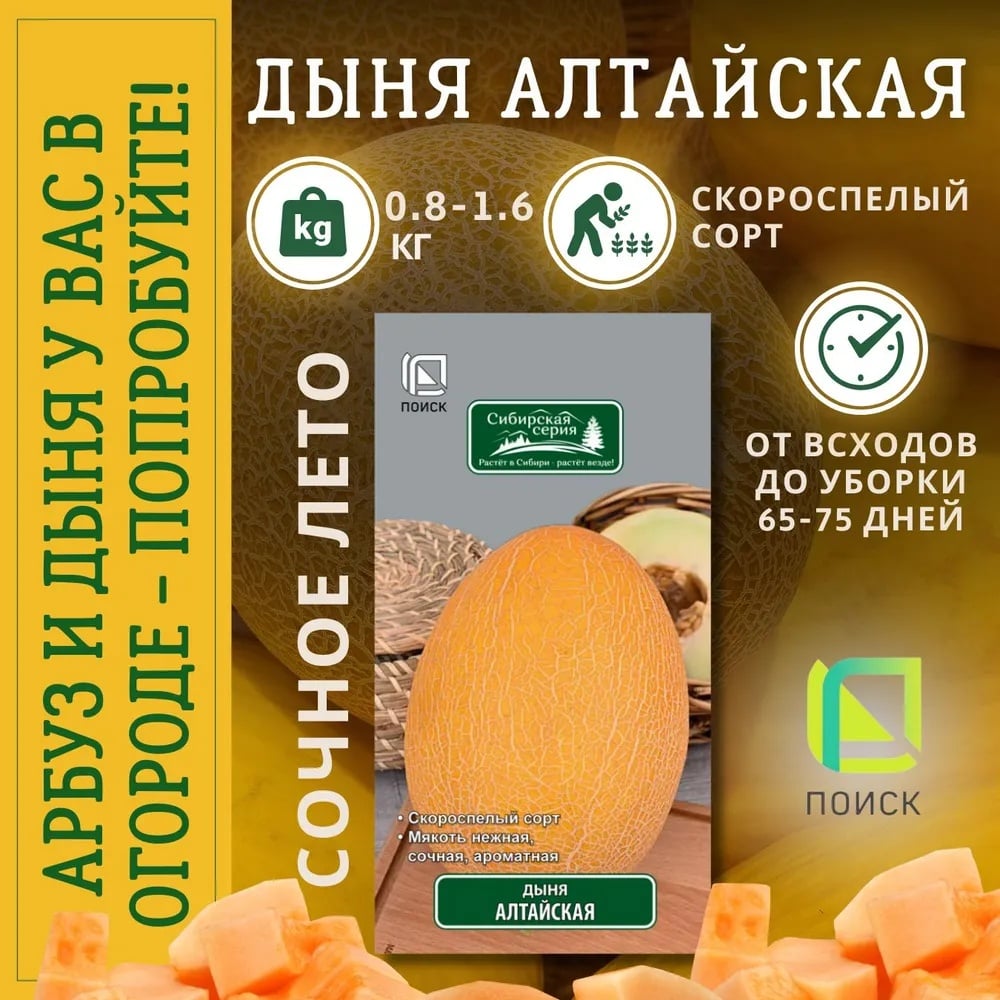 Семена Агрохолдинг ПОИСК 240893