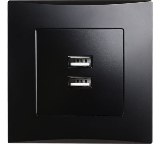 Изображение товара Розетка Smartbuy USB 2,1A черная "Вега" SBE-08b-16-S1-USB