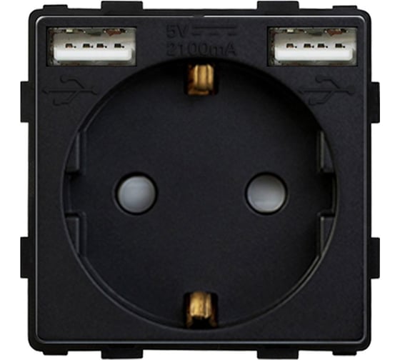 Изображение товара Розетка Sibling в рамку с USB-портами черная (47x47мм) 00-01018379
