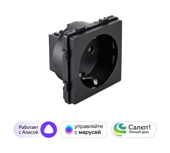 Изображение товара Умная розетка Sibling в рамку черная (47x47мм) 00-01018382