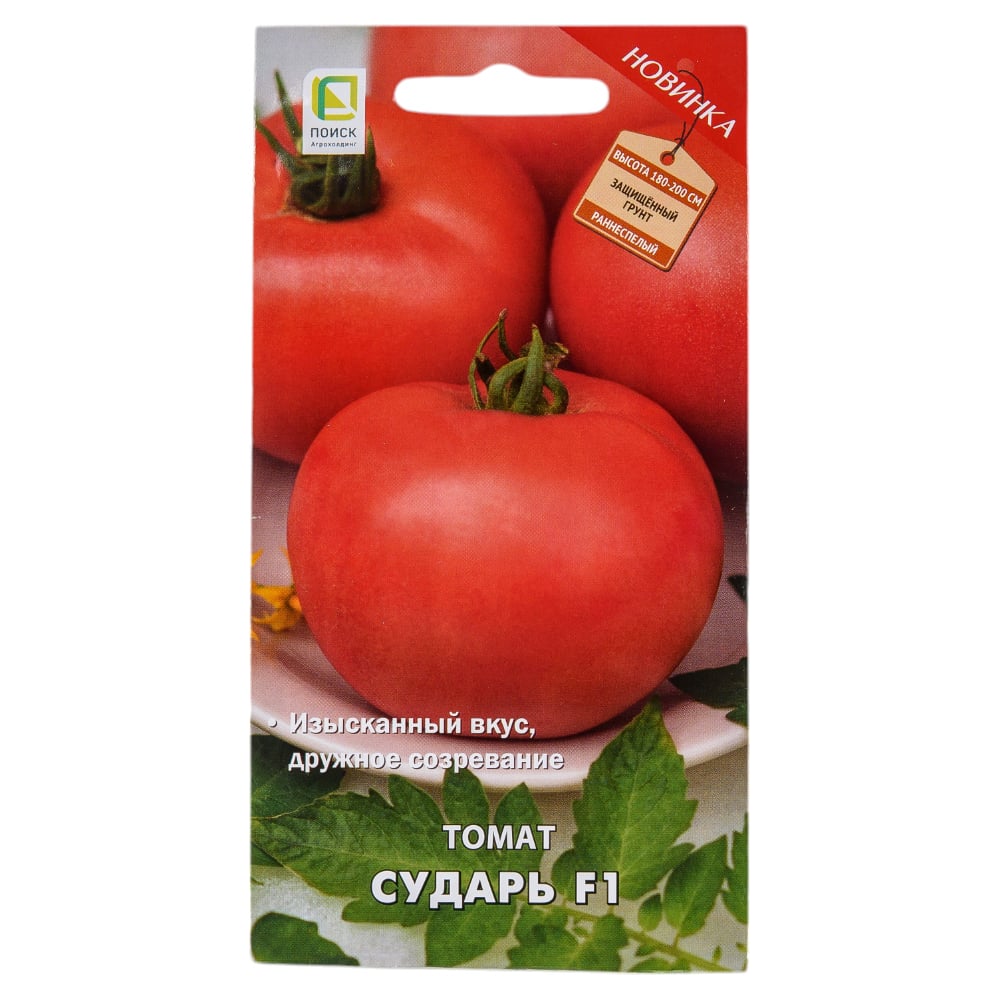 Семена Агрохолдинг ПОИСК 725509