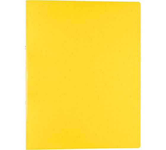 Изображение товара Папка Expert Complete 4 шт на 2 О-кольцах A4 500 мкм Classic 25 мм песок d - 20 мм желтый 605553