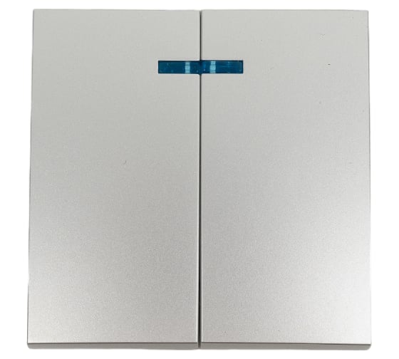 Изображение товара Лицевая панель 2-клавишного выключателя с индикатором EKF PROxima Валенсия 10А, сталь ESV10-L-123-30