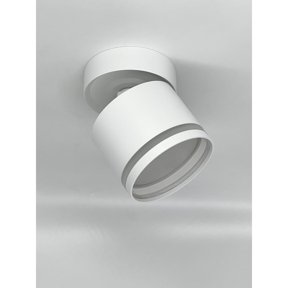 Изображение товара Светильник накладной truEnergy поворотный с матовым кольцом 15 Вт GX53 белый Изображение товара Светильник накладной truEnergy поворотный с матовым кольцом 15 Вт GX53 белый