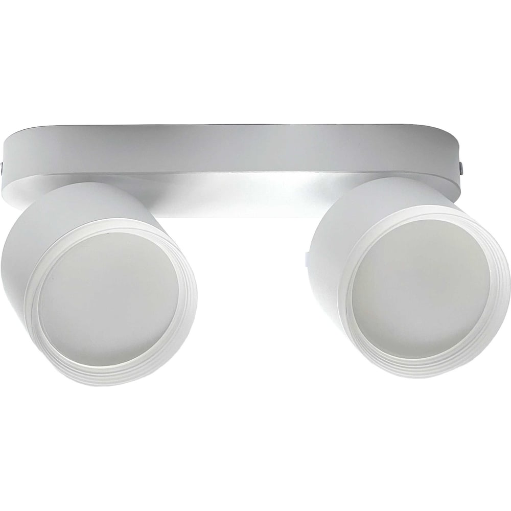 Изображение товара Светильник накладной truEnergy с поворотным спотом 2xGX53