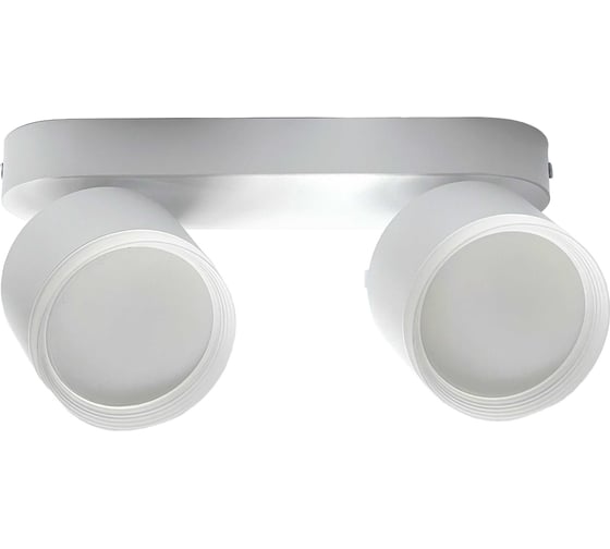 Изображение товара Светильник накладной truEnergy с матовым кольцом поворотный спот двухламповый 2xGX53 H125xL230мм алюминий белый 21039