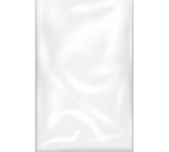 Изображение товара Пакеты фасовочные ОФИСМАГ Прочные, первичный ПВД, 24x37 см, комплект 500 шт., 25 мкм 609442