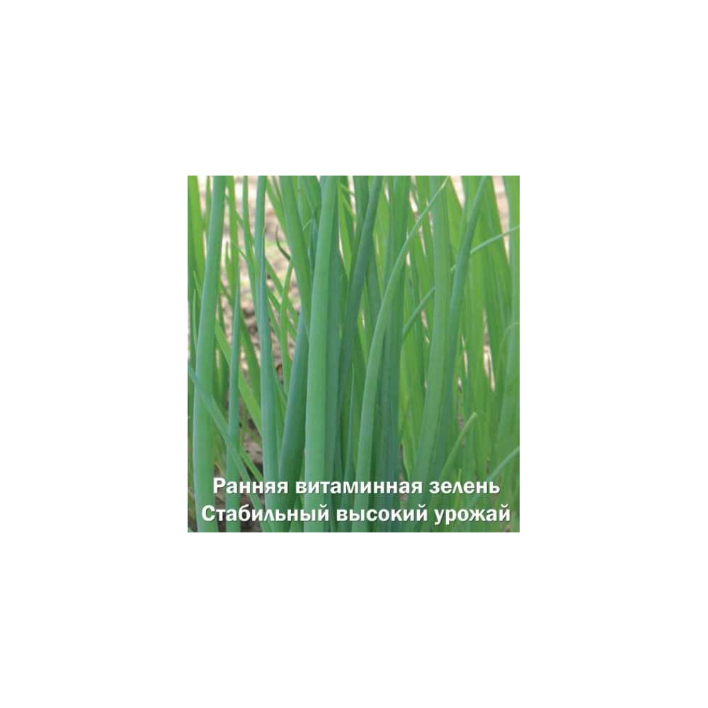 Семена Агрохолдинг ПОИСК 670081