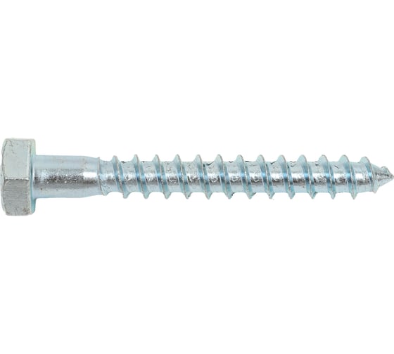 Изображение товара Сантехнический шуруп SWFS 10х80 мм, 2 шт. тов-092749